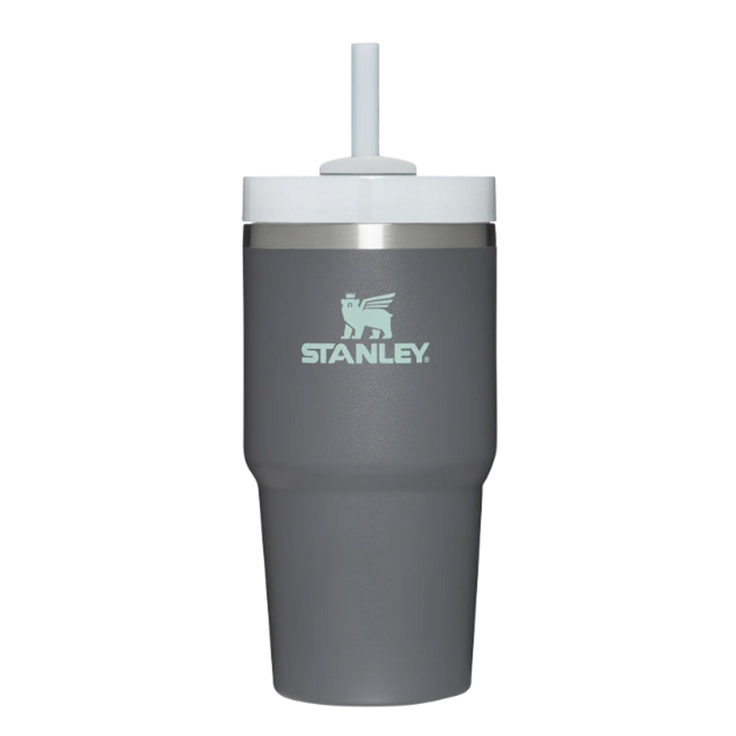 Stanley outlet Tumbler 20 oz